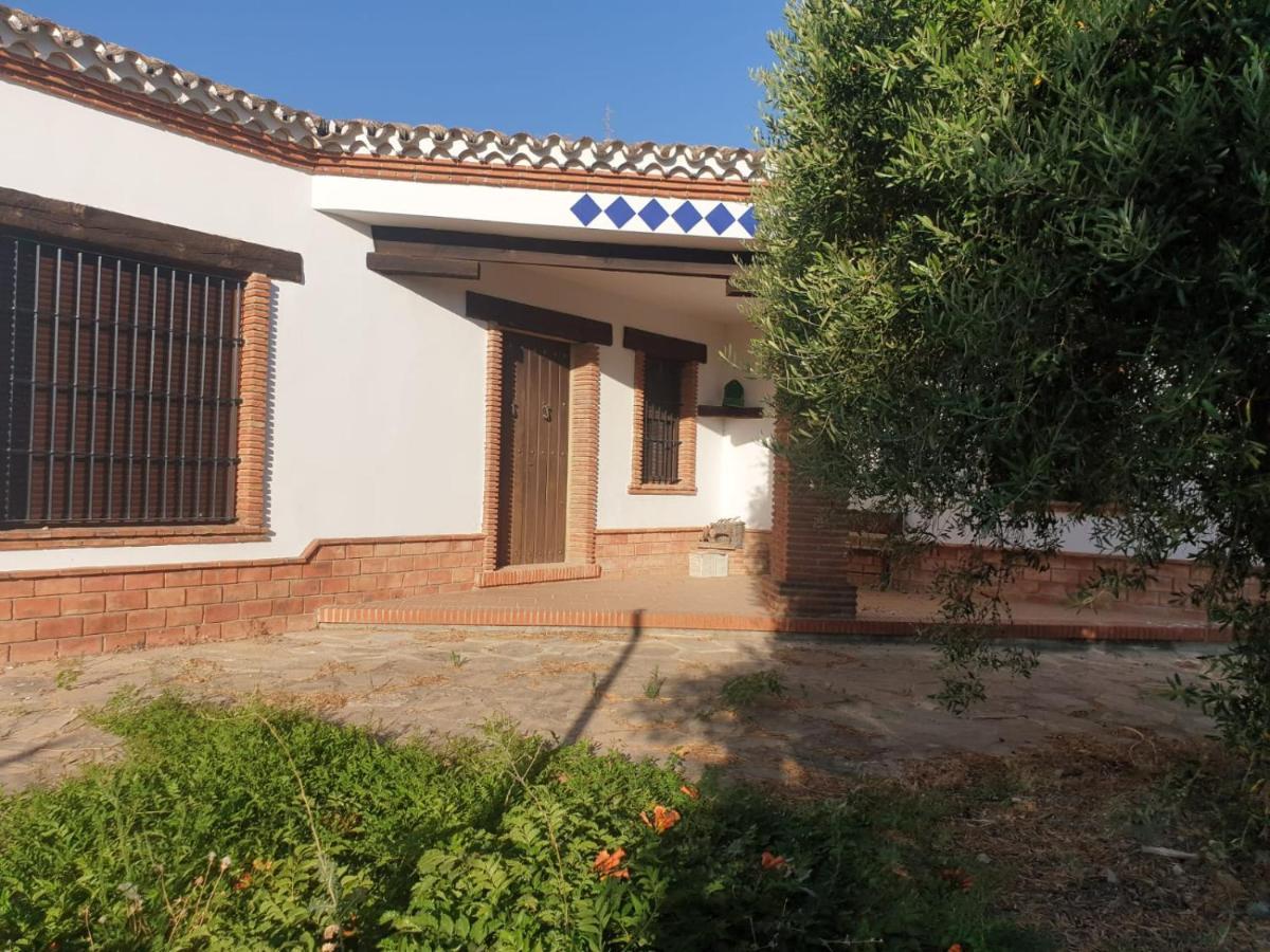 Villa El Mirador Algodonales Exteriör bild